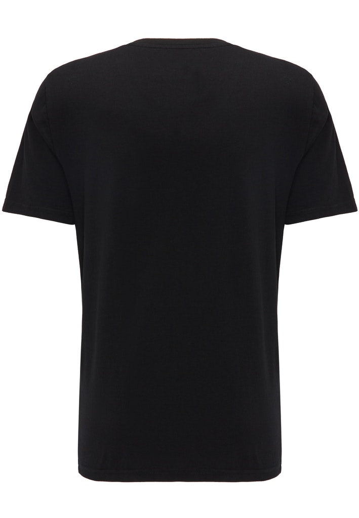 2-Pack V-Neck 1006170